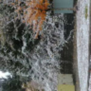 Meet your Posher, Alaki